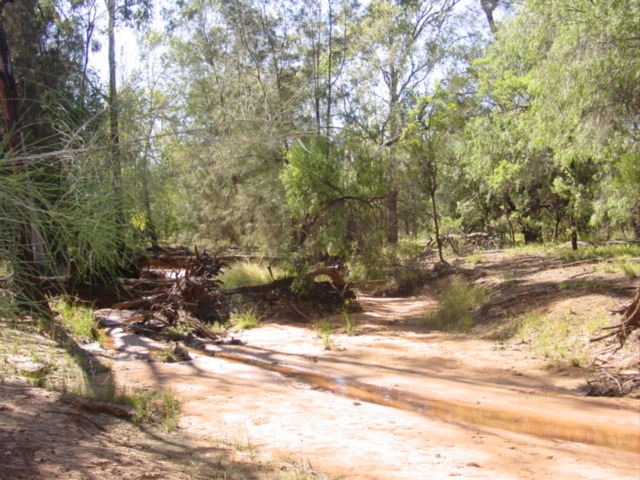 Ironbark Lagoon