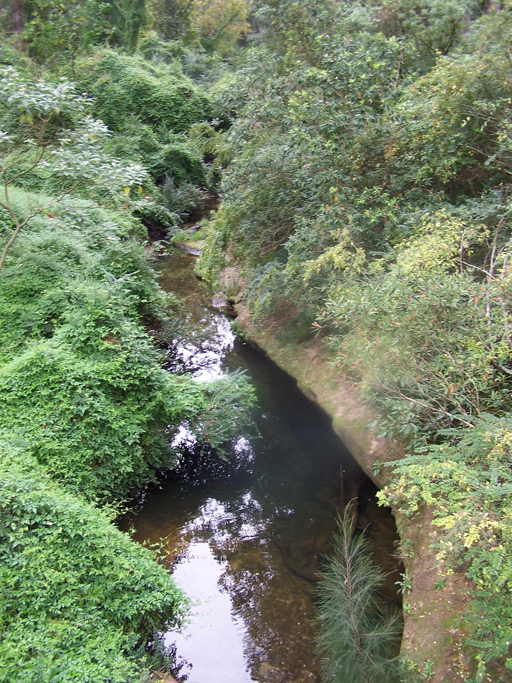 photo sandstone outcrop creek