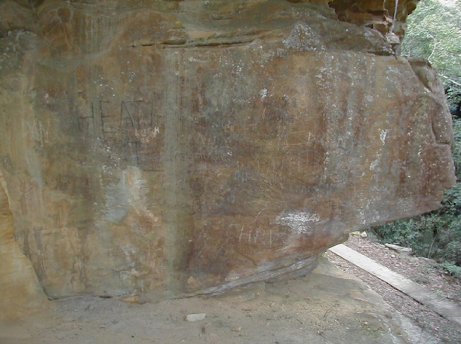 Pheasants Nest Weir Access Road Upgrade: Aboriginal and European Heritage Assessment.