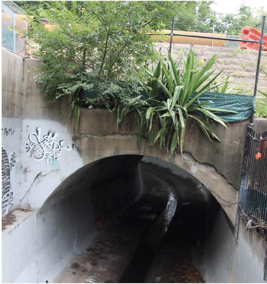 Booth Street Bridge Annandale - History and Photographic Recording